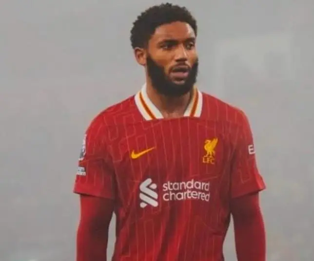 浦效力十年 浦效力十年