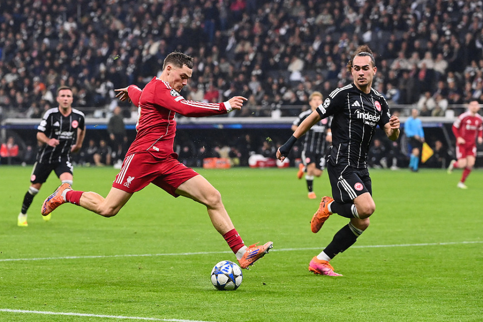 与前几场相, 的那么糟糕, OiPDb