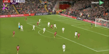 埃基蒂克左, net